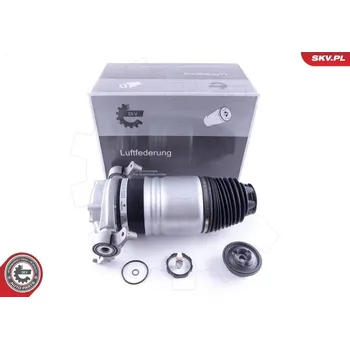 Vzduchová pružina, podvozek SKV 58SKV049