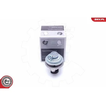 Ventil palivového systému AGR-Ventil SKV 14SKV182