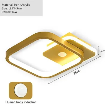 Stropní lampy s PIR senzorem | Osvětlení - Zlatá 14W , Teplá bílá