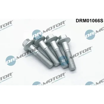 Systém vstřikování Šroub, držák vstřikovací trysky DR.MOTOR DRM01066S