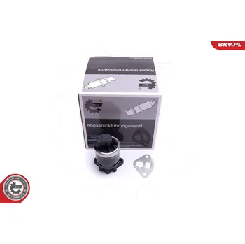 Ventil palivového systému AGR-Ventil SKV 14SKV210