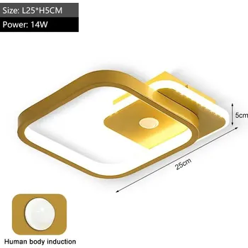 Stropní lampa LED s pohybovým senzorem | osvětlení - Zlatá 14W , Teplá bílá