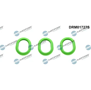 Automobilové těsnění Sada těsnění, koleno sacího potrubí DR.MOTOR DRM01727S