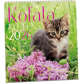 Kalendář KN317 - Kalendář Koťata 2026