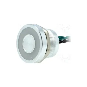 vypínač PS225P10Y01G24L