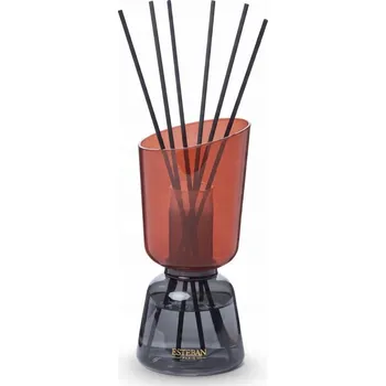 Aroma difuzér Esteban ICONIC Skleněný Difuzér s Tyčinkami 250 ml Teck and Tonka