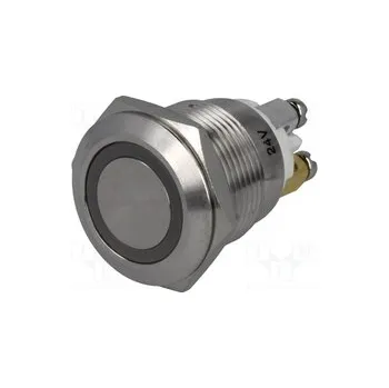 vypínač V19-10R-24RG-S