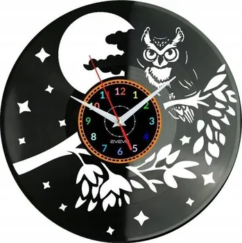 Hodiny Nástěnné hodiny Sova Pták - Vinylová deska - Moderní dekorace