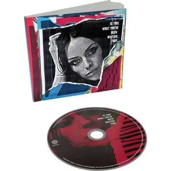 Zahraniční hudba MacDonald Amy: Is This What You've Been Waiting For? - CD