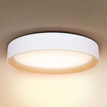 Brilagi -LED Stmívatelné svítidlo LARIOS LED/48W/230V 3000-6500K pr. 39 cm bílá+DO