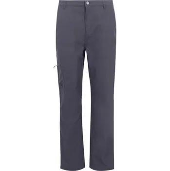 Pánské kalhoty Regatta RMJ306R-038 Pánské outdoorové kalhoty RMJ306R Šedá 40