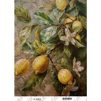 Umělecký papír Rýžový a soft papír na decoupage - Obraz příroda - KB01521 Materiál: Soft, Rozměr: A4