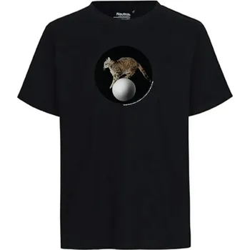 DVD film Tričko Až přijde kocour - kočka na kouli Až přijde kocour, NFA - Tričko pánské černé - M