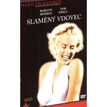Slaměný vdovec - DVD v krabičce (14mm)