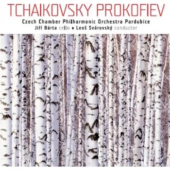 DVD film Andante cantabile, Sinfonietta Bárta Jiří - CD