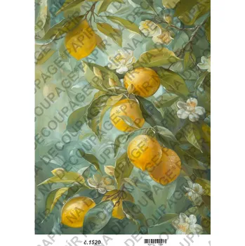 Umělecký papír Rýžový a soft papír na decoupage - Obraz příroda - KB01520 Materiál: Soft, Rozměr: A4