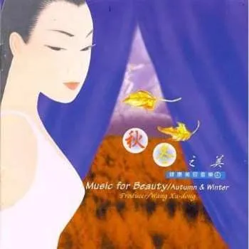Zahraniční hudba CD Wang Xu-Dong: 秋冬之美 = Music For Beauty / Autumn & Winter 1999