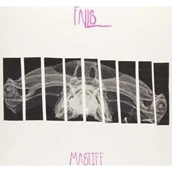 Zahraniční hudba SP Falls: Falls 2015