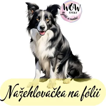 Nažehlovačky na fólii Nažehlovačka na fólii, BORDER KOLIE - černobílá, 13,8x10,7 cm /ks