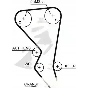 Gates 5599XS Rozvodový řemen