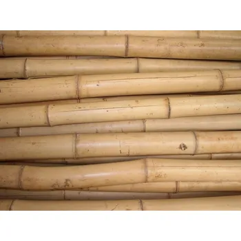 Stavebniny Axin Trading s.r.o. Silná bambusová tyč