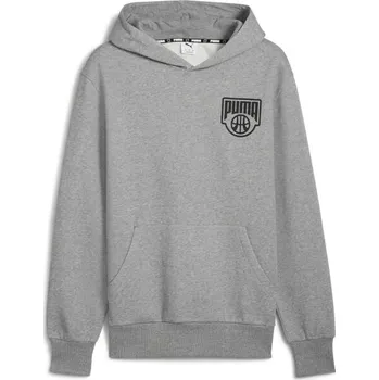 Pánská móda Pánská mikina Puma POSTERIZE HOODIE M Šedá, Černá