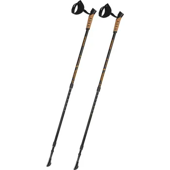 Nordic walkingová hůl Hole pro Nordic Walking s poutky