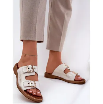 Dámská obuv Pantofle model 210174 Step in style 40