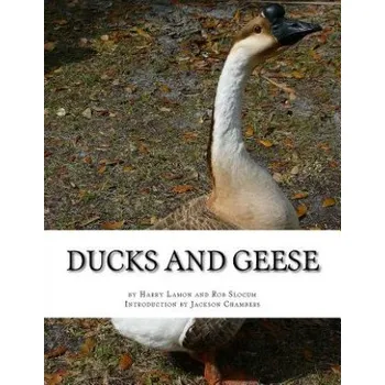 Učebnice Ducks and Geese (Harry Lamon,Rob Slocum,Jackson Chambers)(Brožovaná)