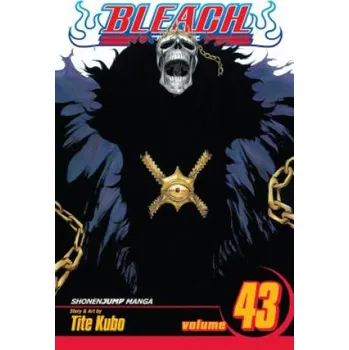 Bleach, Vol. 43 (Tite Kubo)(Brožovaná)