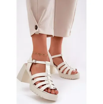 Dámské sandále Sandály na podpatku model 212575 Step in style 36