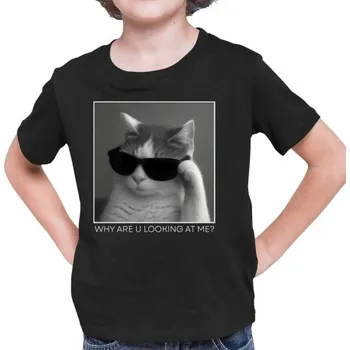 Žertovný předmět Why are u looking at me? - kočka v brýlích - dětské tričko s potiskem- Tričkový.cz
