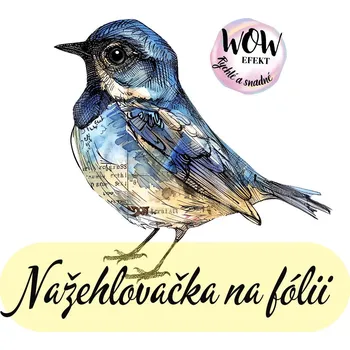 Nažehlovačky na fólii Nažehlovačka na fólii, PTÁČEK, 7,6x8,4cm /ks