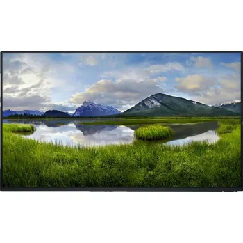 Monitor DELL Professional P2425HE bez stojanu