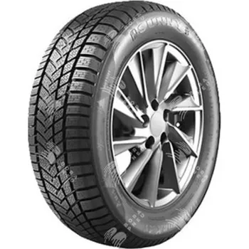 Zimní osobní pneu Pneumatiky SUNNY wintermax nw211 xl m+s 3pmsf 255/35 R19 96V