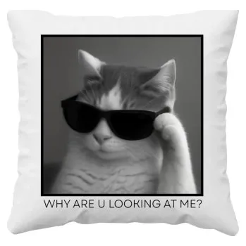 Žertovný předmět Why are u looking at me? - kočka v brýlích - polštář s potiskem- Tričkový.cz