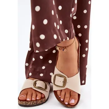 Dámské pantofle Pantofle model 216065 Step in style 37