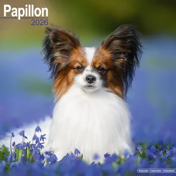 Kalendář Kalendář 2026 Papillon