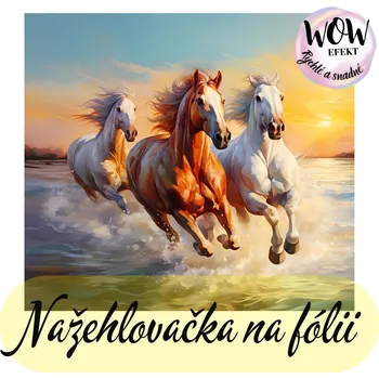 Nažehlovačky na fólii Nažehlovačka na fólii, KONĚ v moři, 11,1x12,4cm /ks