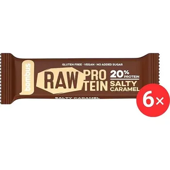 Bombus Raw Protein salty caramel 6 x 50 g