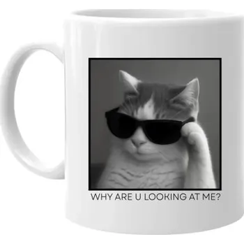 Žertovný předmět Why are u looking at me? - kočka v brýlích - hrnek s potiskem- Tričkový.cz