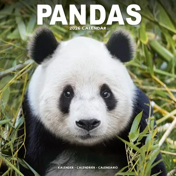 Kalendář Kalendář 2026 Pandas