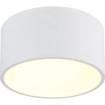 GLOBO RAYMOND 56964W Stropní svítidlo