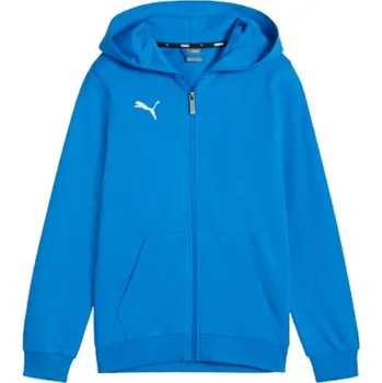 Chlapecká mikina Chlapecká mikina Puma TEAMGOAL CASUALS HOODED JACKET 176 Modrá, Bílá