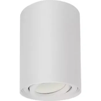 Bodové svítidlo Stropní bodové svítidlo GU10 Bílé