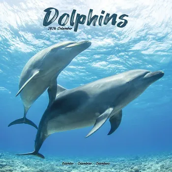 Kalendář Kalendář 2026 Dolphins
