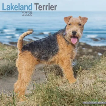 Kalendář Kalendář 2026 Lakeland Terrier