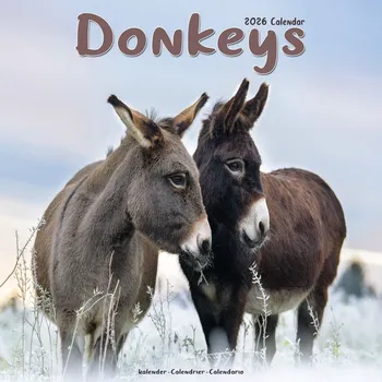 Kalendář Kalendář 2026 Donkeys