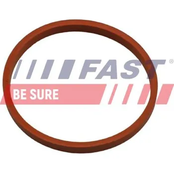 Těsnění motoru Těsnicí kroužek, hadice plnicího vzduchu FAST FT48932