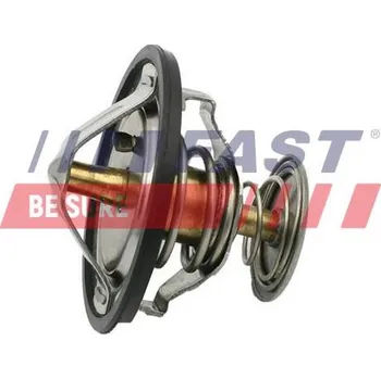 Chladič motoru Termostat, chladivo FAST FT58083